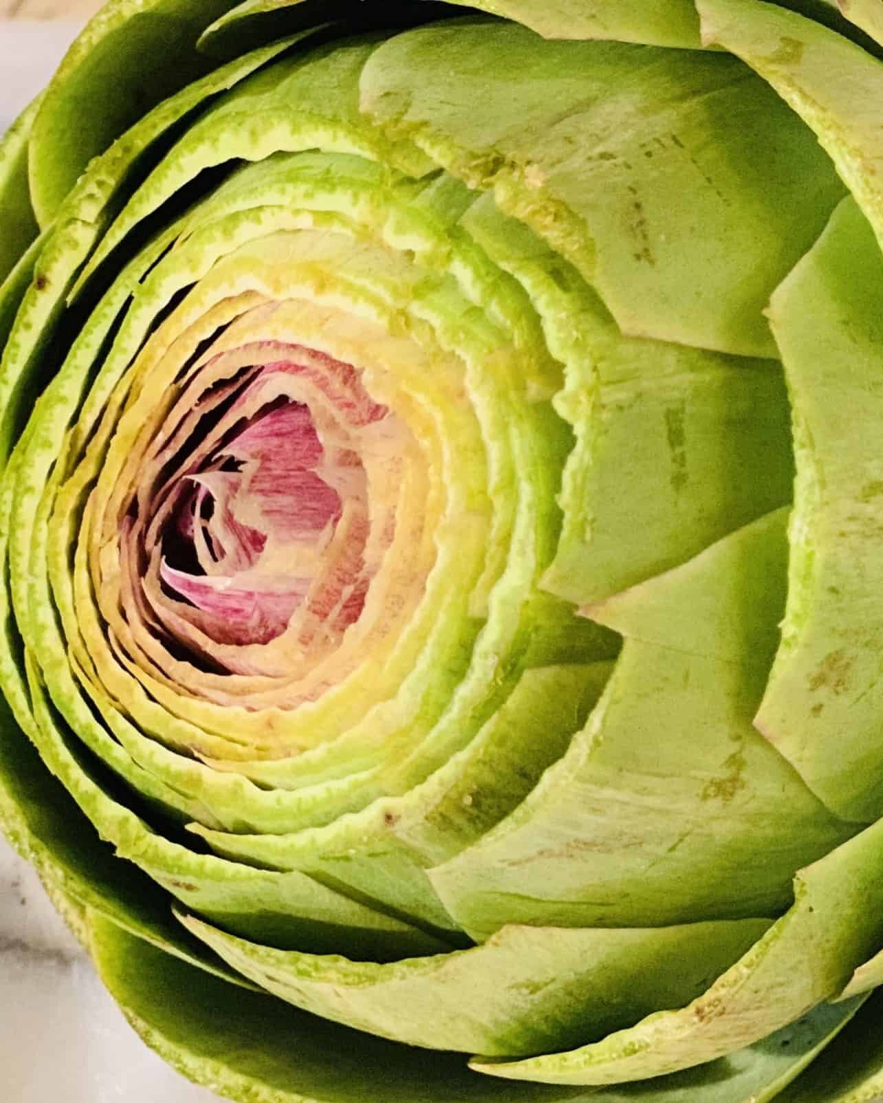 Instant Pot Artichoke showing the heart and leaves