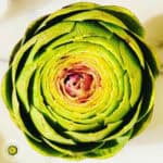 Instant Pot Artichoke