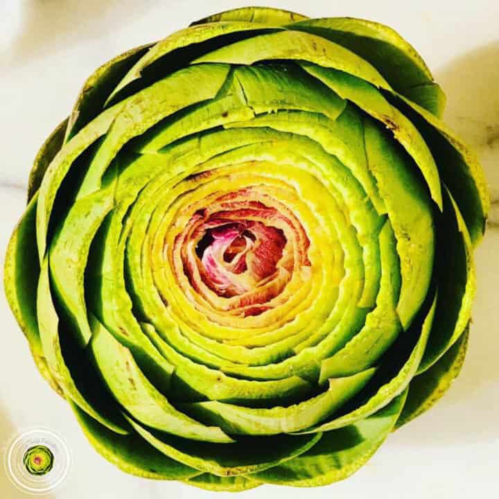 Instant Pot Artichoke