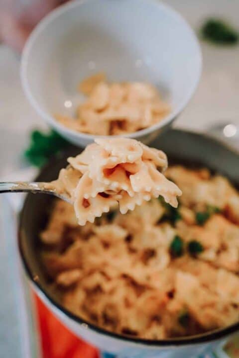 Ninja Foodi, instant pot, crack chicken, chicken, pasta, instant pot, Ninja Foodi, ranch, bacon, cheese, lunch, dinner, main,