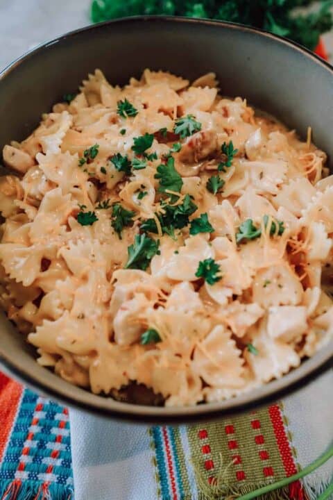 Ninja Foodi, instant pot, crack chicken, chicken, pasta, instant pot, Ninja Foodi, ranch, bacon, cheese, lunch, dinner, main,