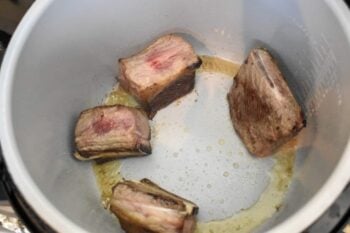 short ribs, beef, dinner, instant pot, Ninja Foodi, the tasty travelers, wine, carrots, pot roast, stew, ribs, main dish