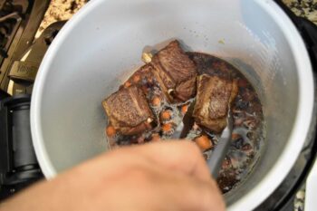 short ribs, beef, dinner, instant pot, Ninja Foodi, the tasty travelers, wine, carrots, pot roast, stew, ribs, main dish