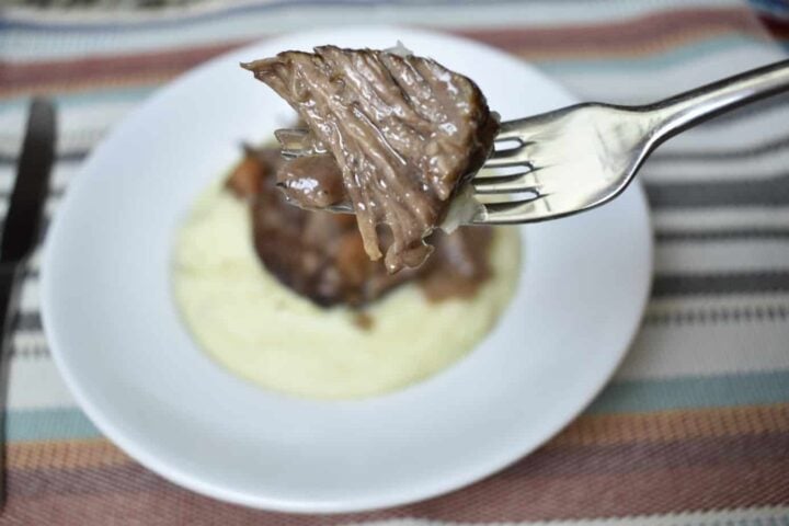 short ribs, beef, dinner, instant pot, Ninja Foodi, the tasty travelers, wine, carrots, pot roast, stew, ribs, main dish