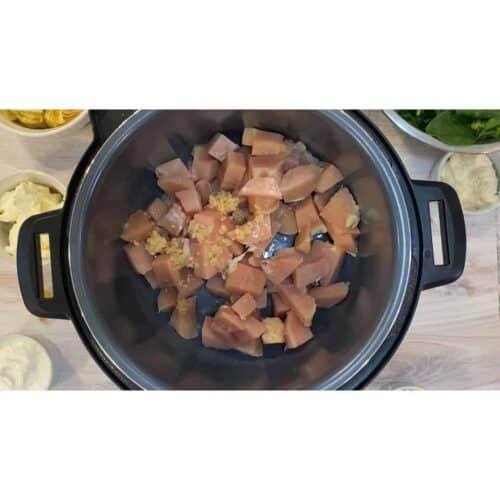 Chicken, Spinach and Artichoke PastaNinja Foodi Recipe The Tasty