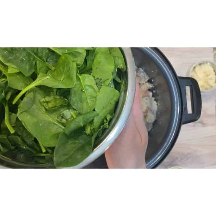 Chicken, Spinach and Artichoke PastaNinja Foodi Recipe The Tasty