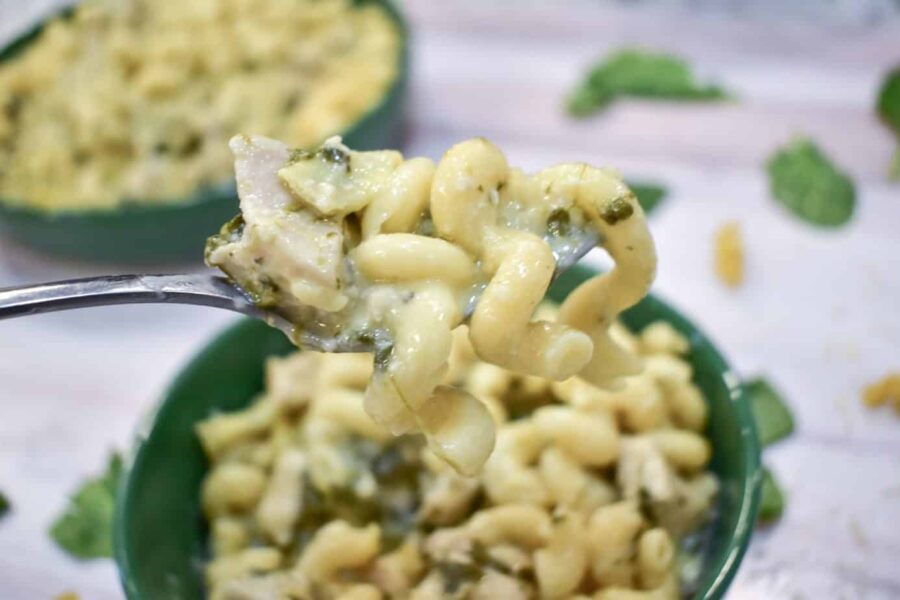 Chicken, spinach artichoke dip pasta10 chicken, artichoke, spinach, pasta, cheese, instant pot, ninja foodi, instant pot chicken, instant pot pasta, ninja foodi chicken, ninja foodi pasta