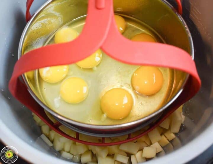 Instant Pot Potato Salad