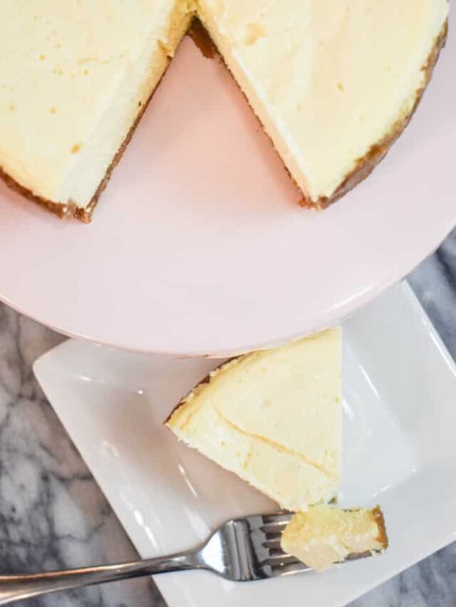 Ninja Foodi Cheesecake The Tasty Travelers™