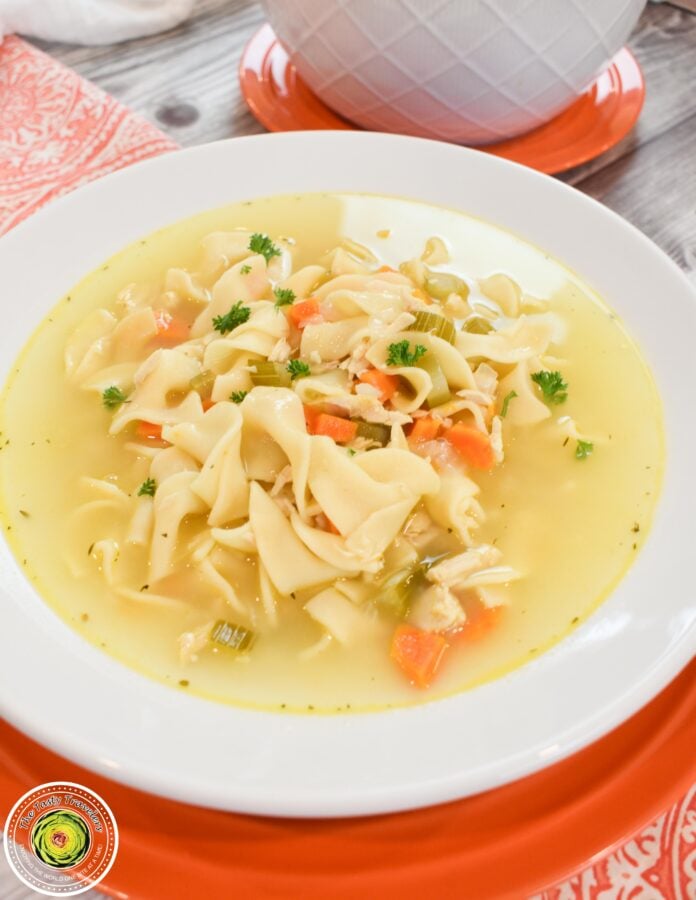 Chicken Noodle Soup-13-2 Chicken Noodle Soup