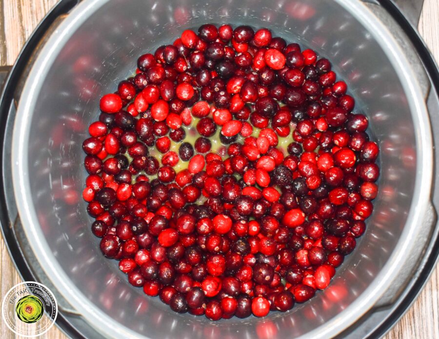 Thanksgiving-7 cranberry sauce