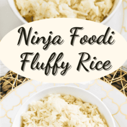 Ninja Foodi Rice - The Tasty Travelers