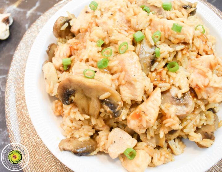 Teriyaki Chicken-16 Teriyaki Chicken-16