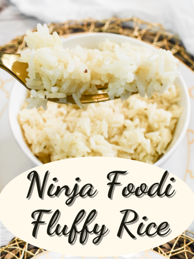 Ninja Foodi Rice The Tasty Travelers™