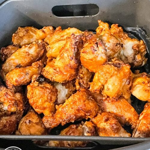 Ninja Foodi Grill BBQ Chicken Nuggets The Tasty Travelers™