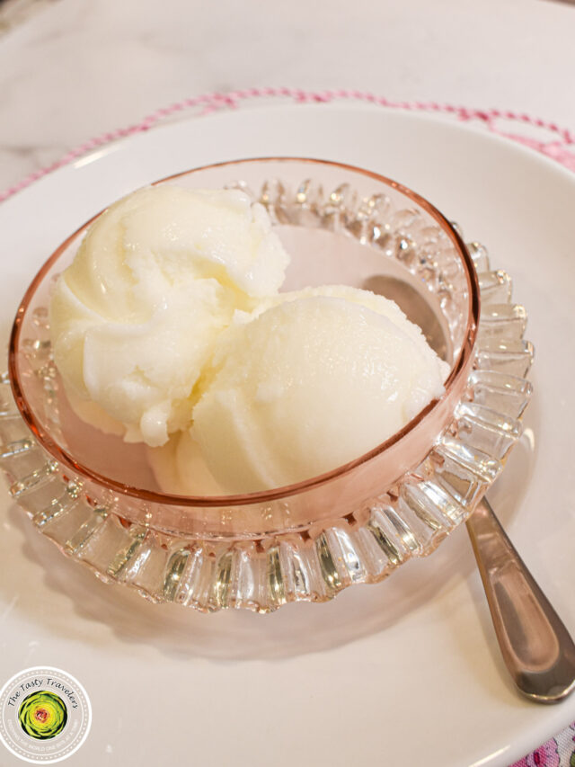 Ninja Creami Frozen Yogurt The Tasty Travelers™