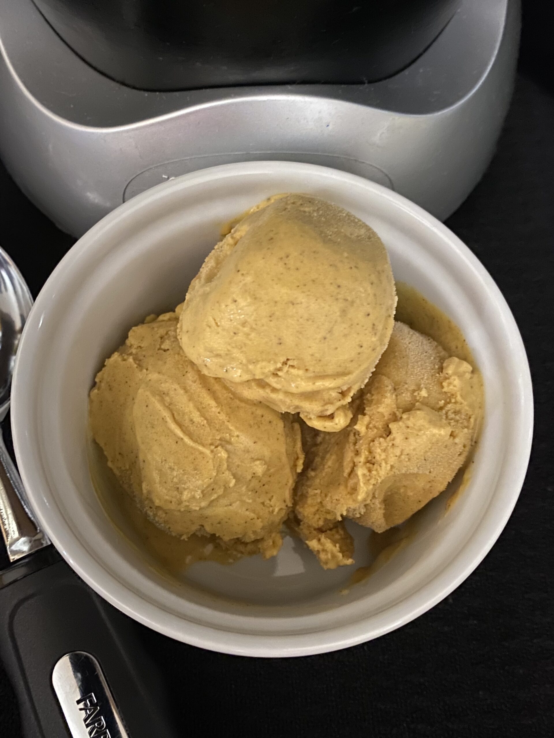 Ninja Creami Pumpkin Pie Gelato The Tasty Travelers