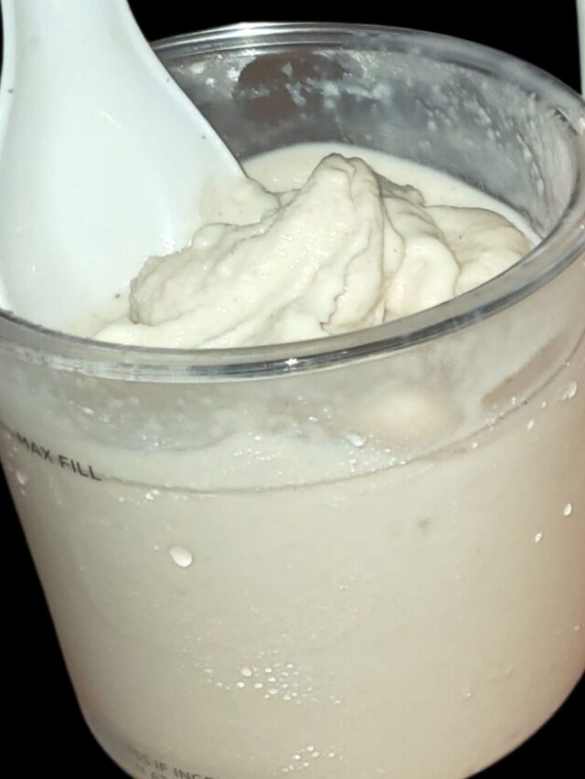 Ninja Creami Peaches and Cream Oatmeal Gelato The Tasty Travelers™