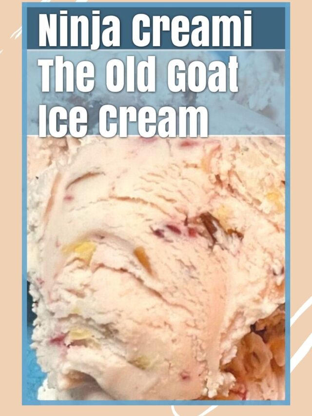 Ninja Creami The Old Goat Ice Cream The Tasty Travelers™