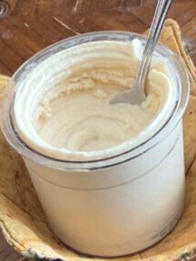 Ninja Creami Hot Cinnamon Spice Frozen Yogurt Lite Ice Cream The