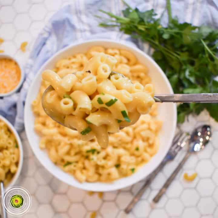 Ninja Foodi Mac and Cheese Featured Image-1