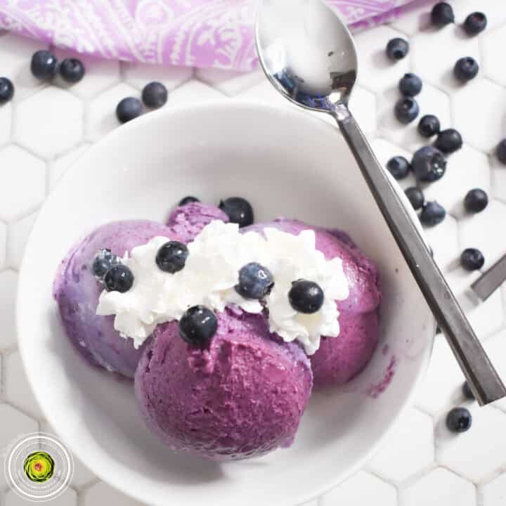Ninja Creami Blueberry Ice Cream Featured Image-1