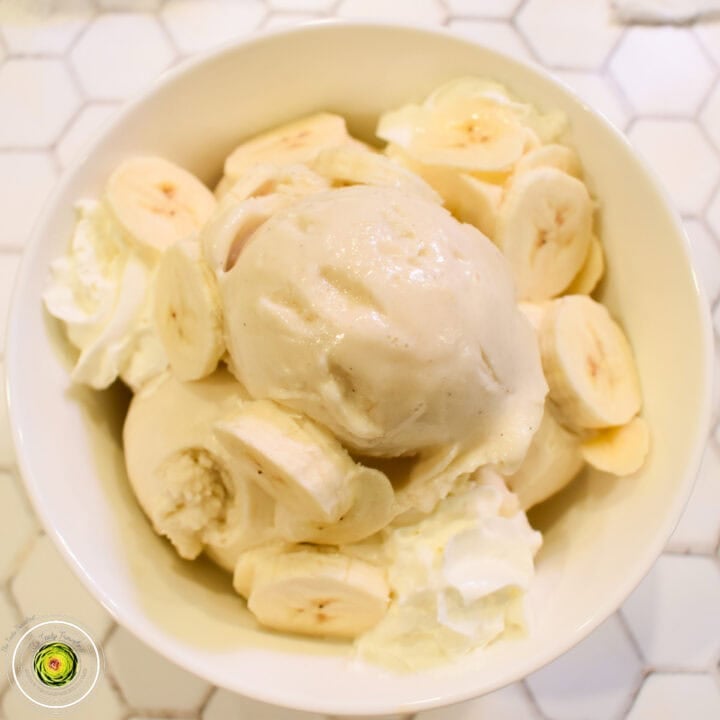 Ninja Creami Banana Sweet Cream Ice Cream in a bowl