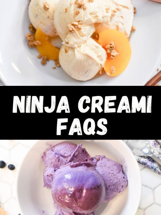 Ninja Creami FAQs The Tasty Travelers™