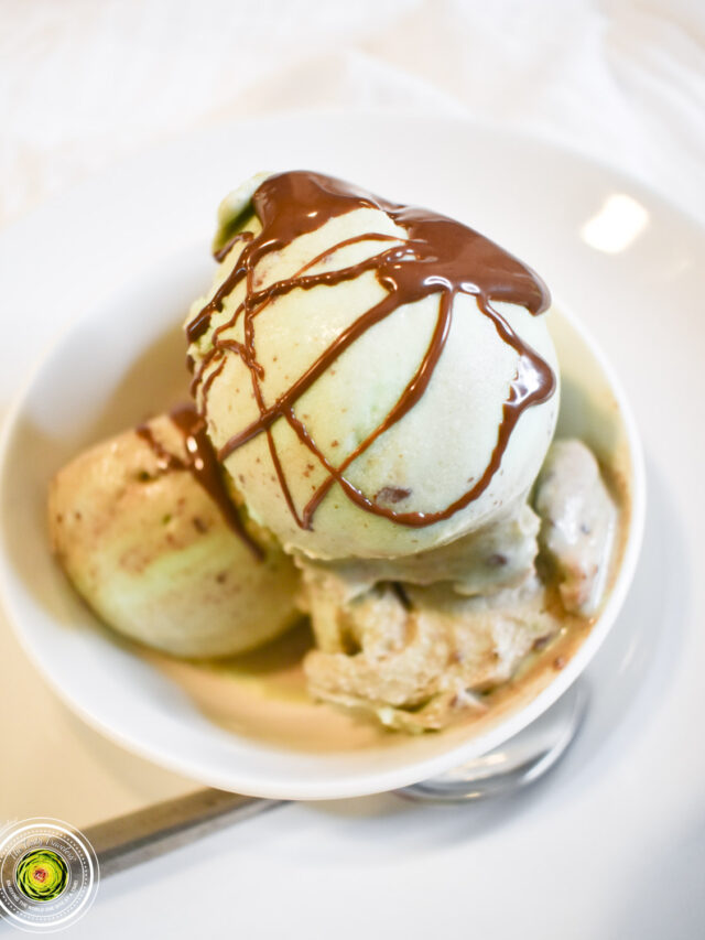 Ninja Creami Mint Chocolate Ice Cream The Tasty Travelers™