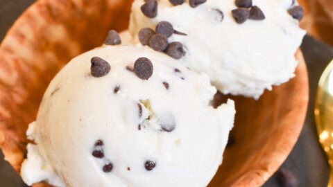 Ninja Creami Chocolate Chip Ice Cream - The Tasty Travelers