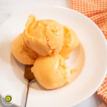 Ninja Creami Orange Creamsicle Protein Shake Ice Cream featured image