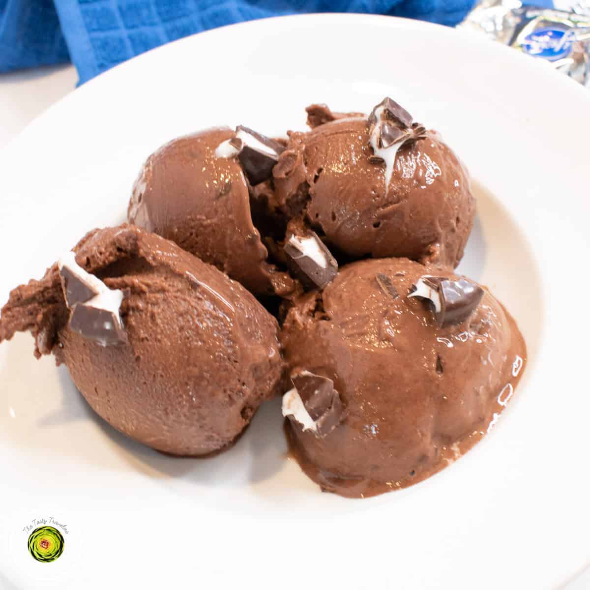 Ninja Creami York Peppermint Patty Protein Ice Cream