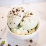 Mint Chocolate Chip Protein Ice Cream featured image