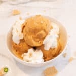 Pumpkin Pie Protein Ice Cream Featured Image
