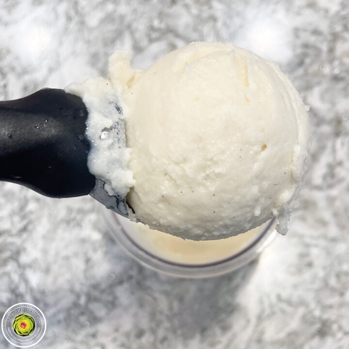 Ninja Creami Vanilla Bean Ice Cream The Tasty Travelers