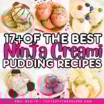 Ninja Creami Pudding Ice Cream