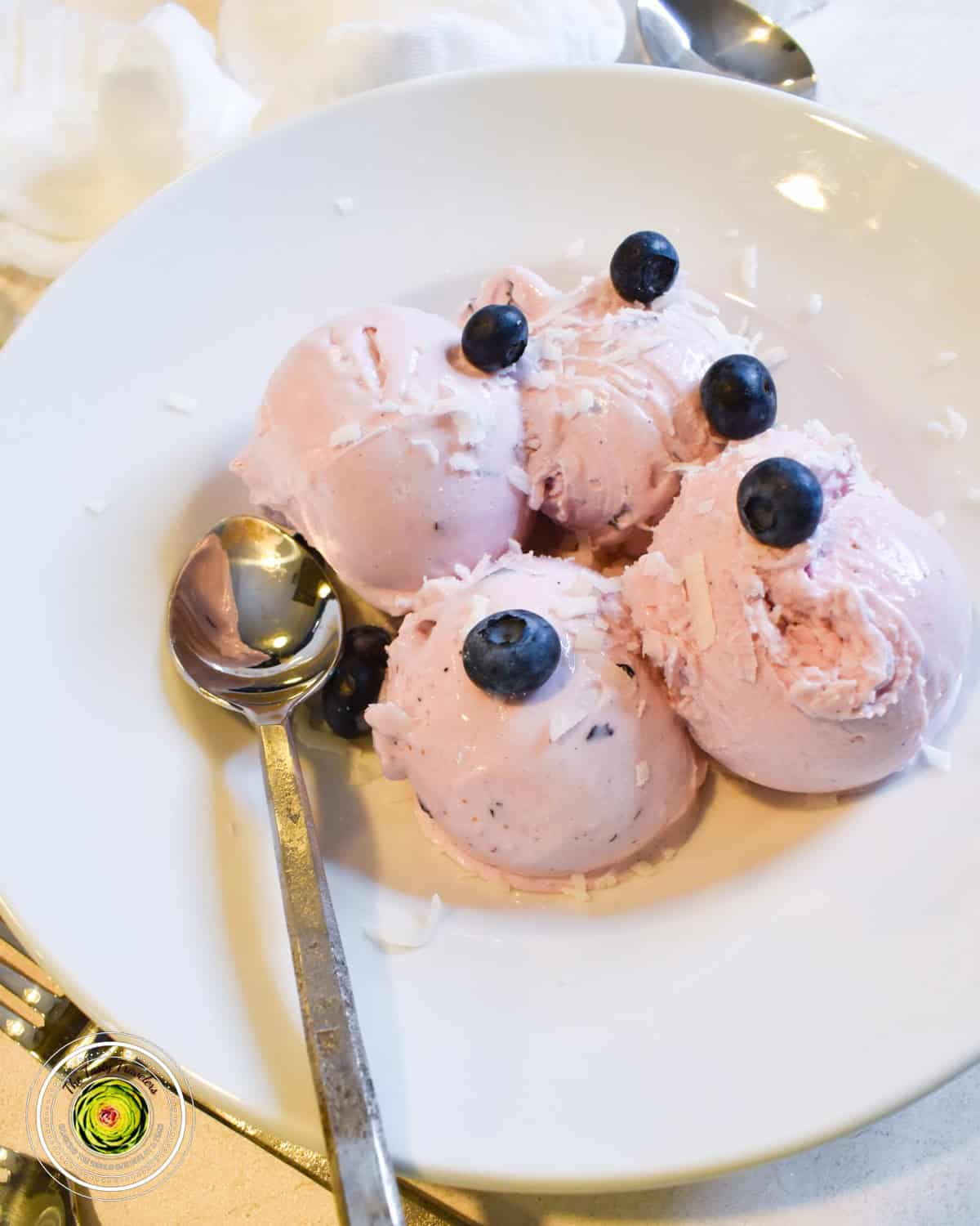 Ninja Creami Blueberry Coconut Frozen Yogurt in pint container showing creamy texture