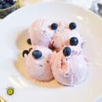 Ninja Creami Blueberry Coconut Frozen Yogurt featured image