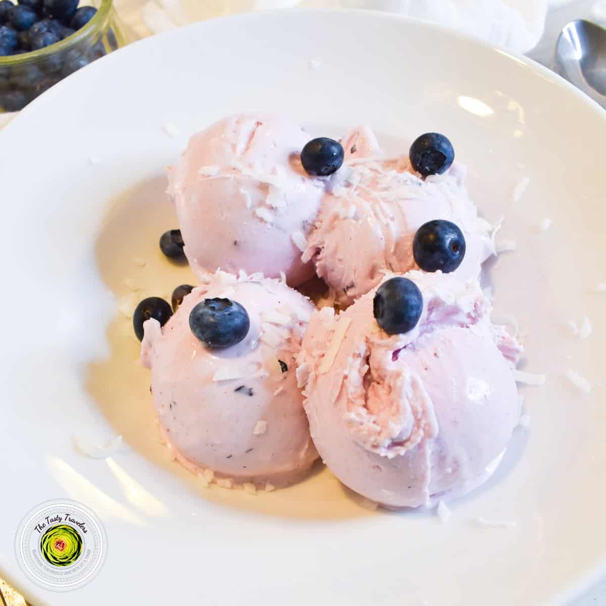Ninja Creami Blueberry Coconut Frozen Yogurt