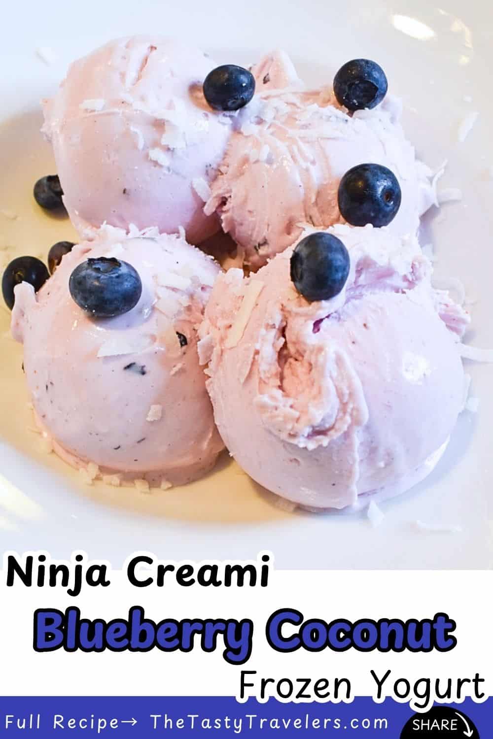 Ninja Creami Blueberry Coconut Frozen Yogurt