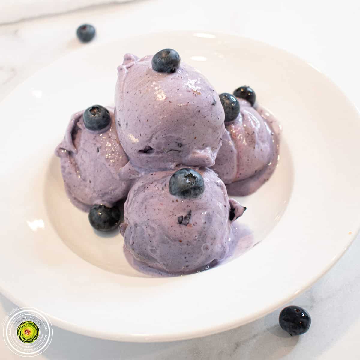 Ninja Creami Blueberry Protein Ice Cream