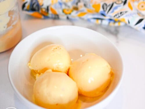 Ninja Creami Low Calorie Peach Frozen Yogurt - The Tasty Travelers