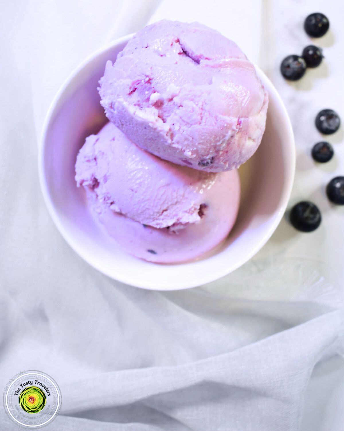 Ninja Creami Blueberry and Vanilla Bean Frozen Yogurt