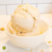 Ninja Creami Coconut Cream Pie Protein Frozen Yogurt