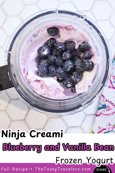 Ninja Creami Blueberry and Vanilla Bean Frozen Yogurt (2)