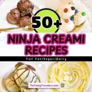 Ninja Creami Regular Recipes (1)