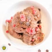 Creamy chocolate ice cream topped with red sprinkles and chocolate chips, served in a white bowl.