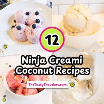Delicious homemade ice cream with blueberries and coconut recipes for Ninja Creami.