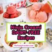 Delicious dairy-free ice cream with watermelon and berry flavors on a white plate.