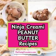 Chocolate peanut butter ice cream scoops in a white bowl with chocolate chunks.